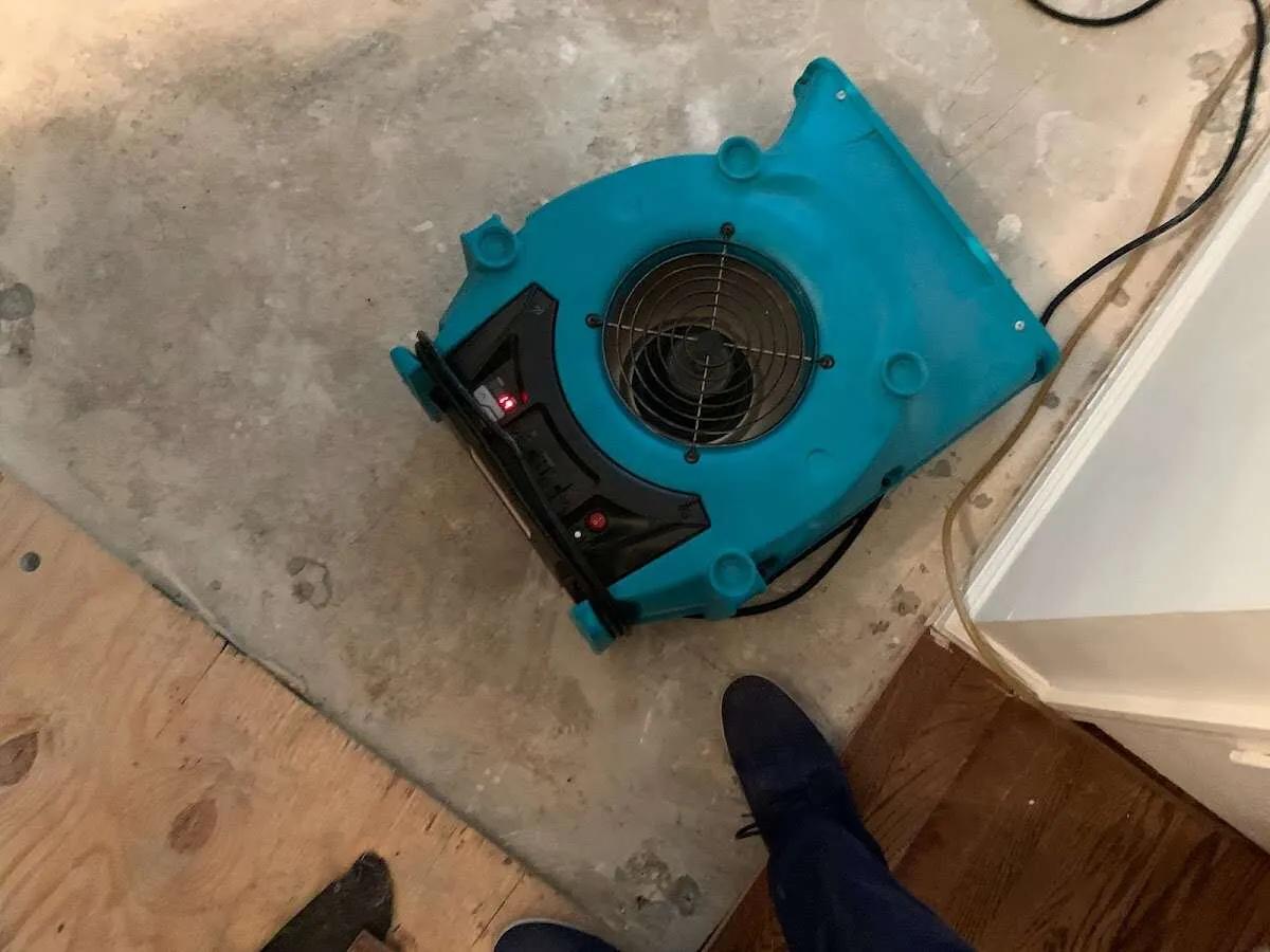 Air mover drying subfloor during Leak Detection & Repair in Shelton
